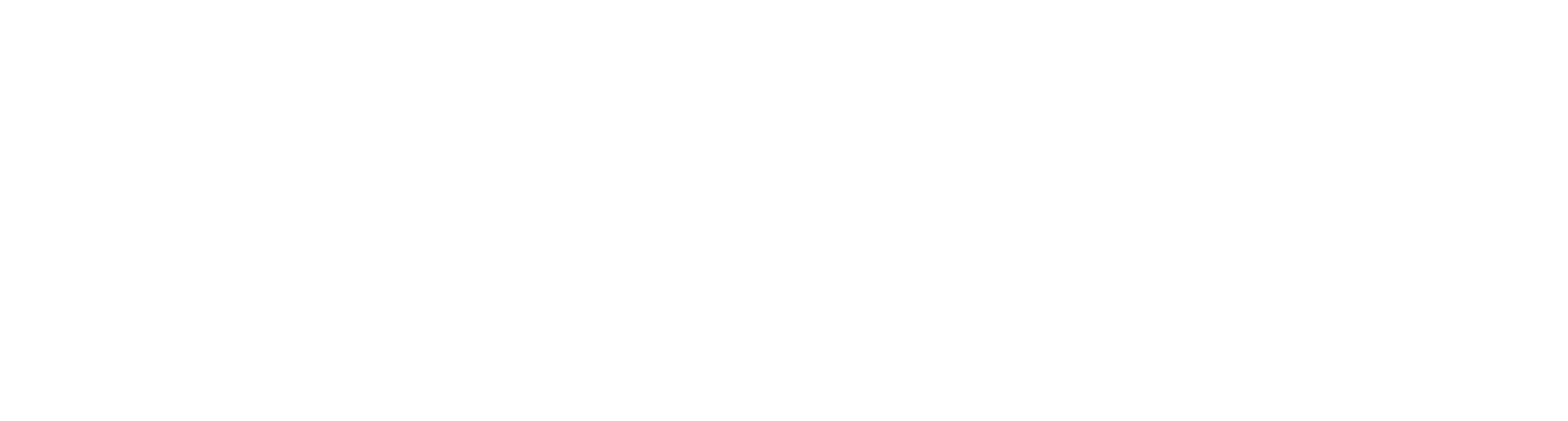 Hotel Director